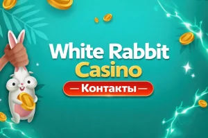white-rabbit-casino-kotankty